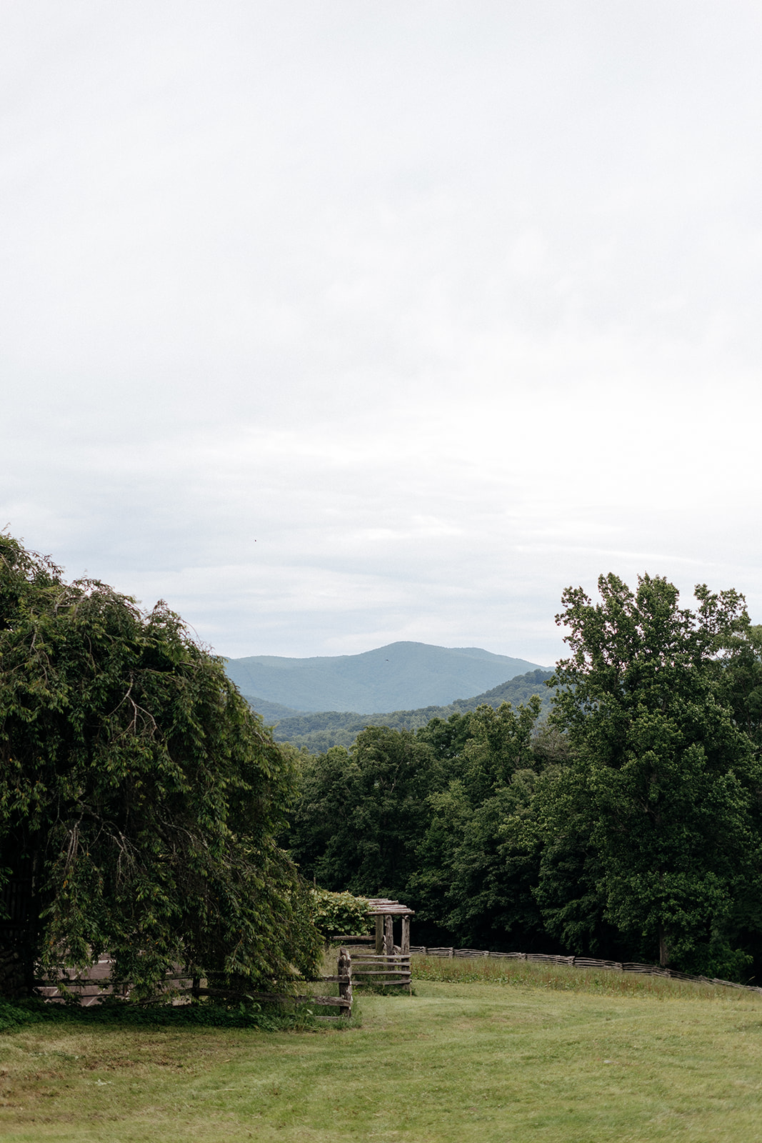 allegra-josh-wedding-0149.JPG