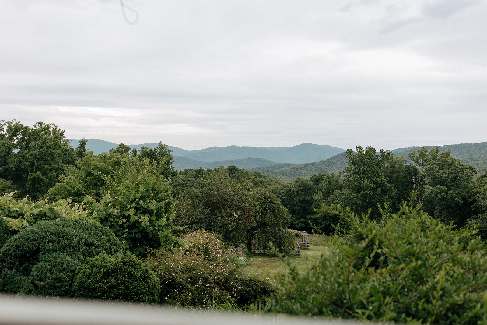 allegra-josh-wedding-1021.JPG