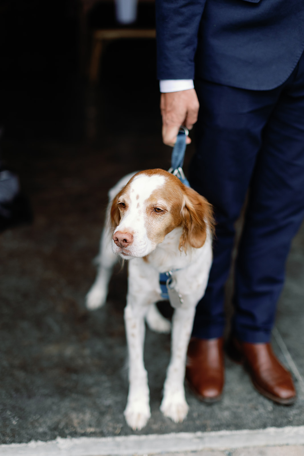 chesnut-will-wedding-0131.JPG
