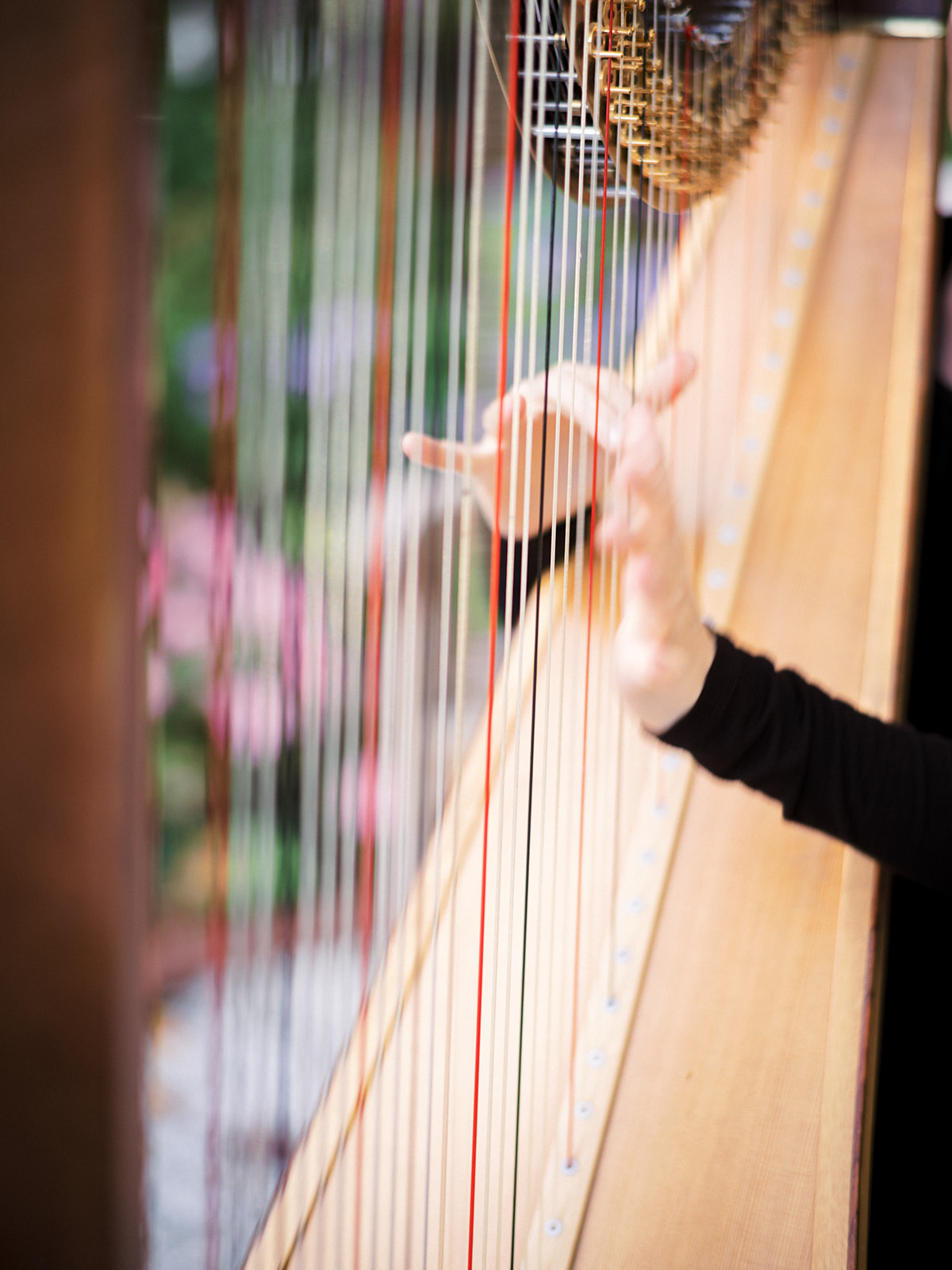 Close up of harp fingers.