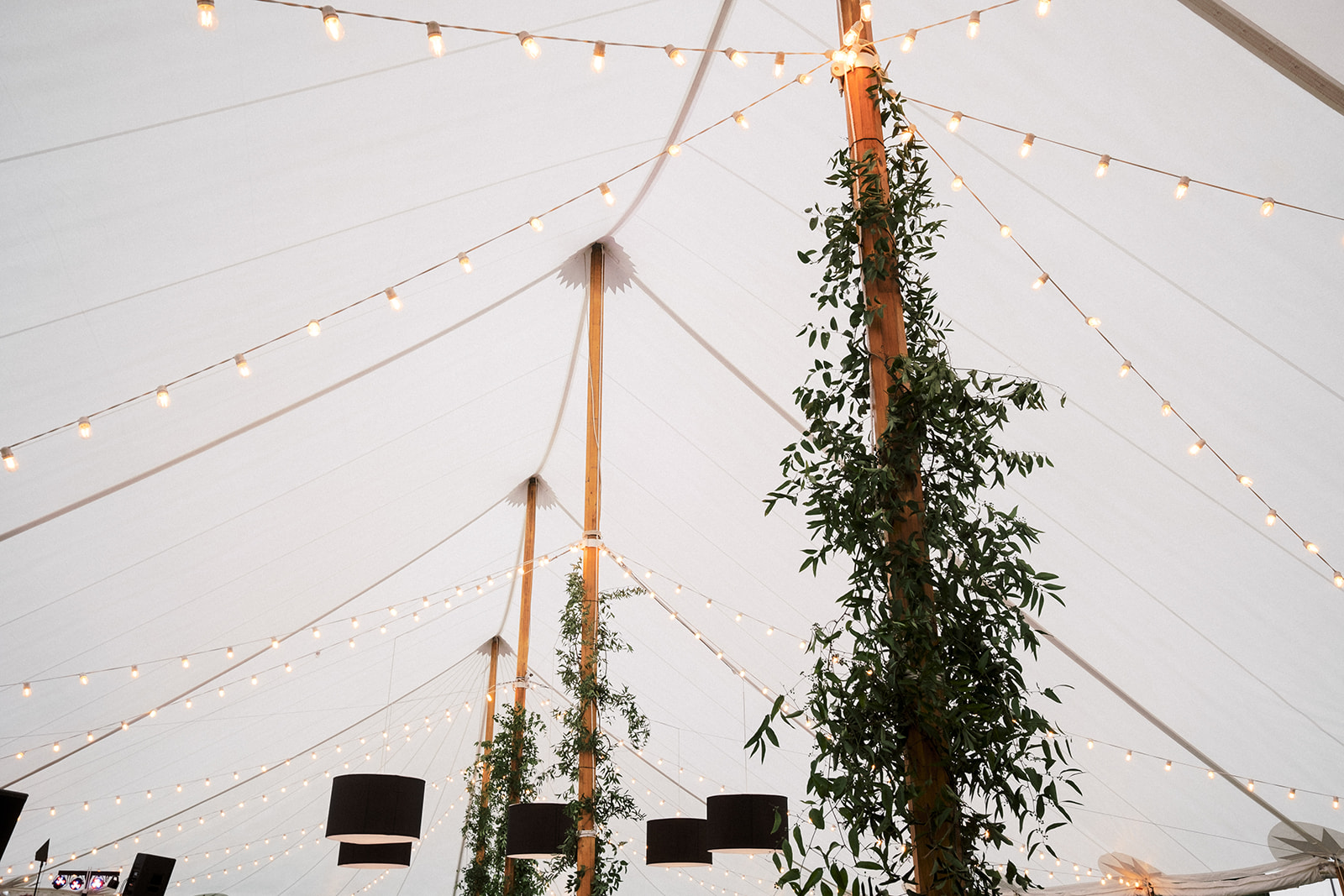 Elegant foliage in the tent.