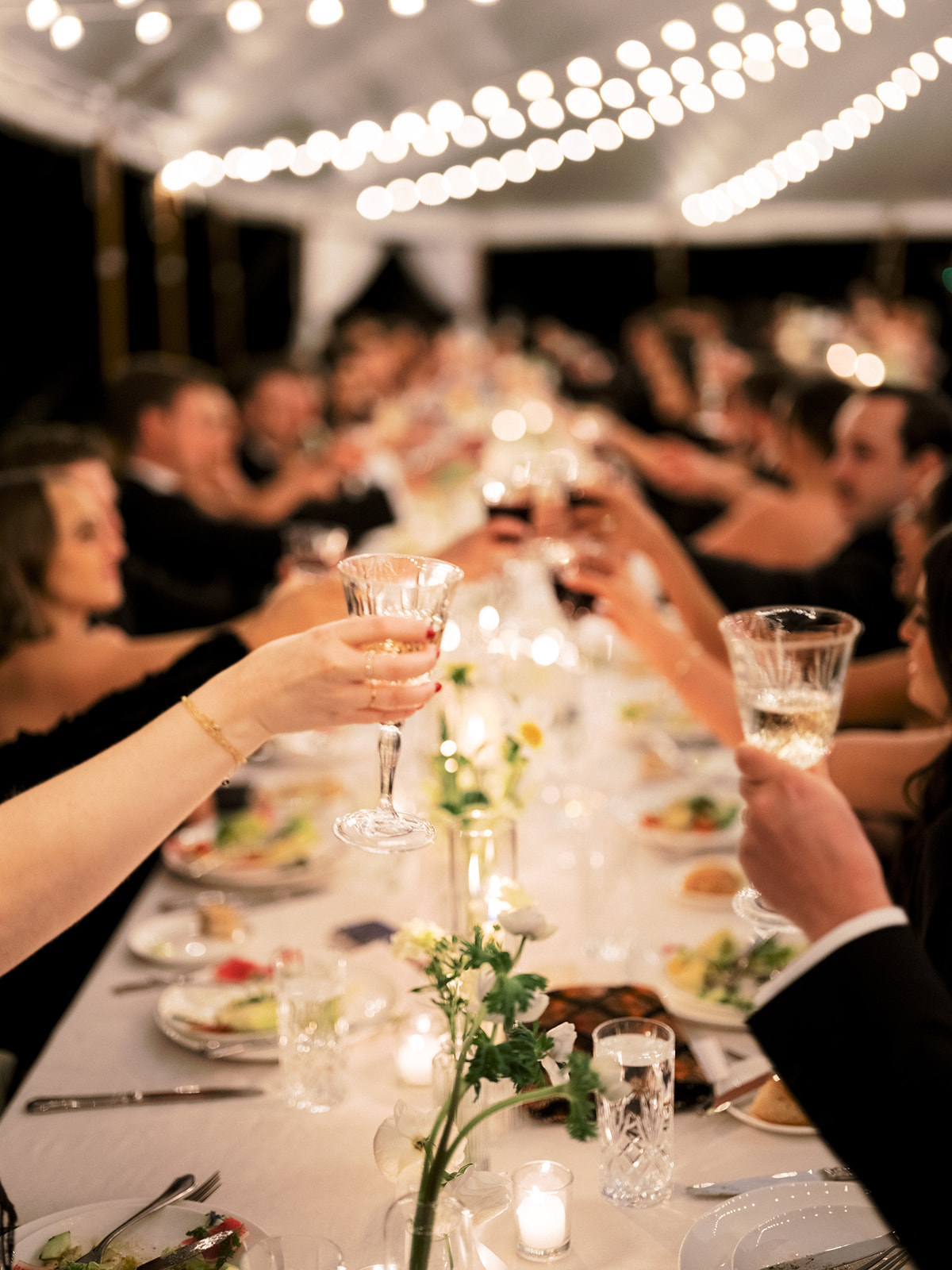 Guests toast to the speeches.