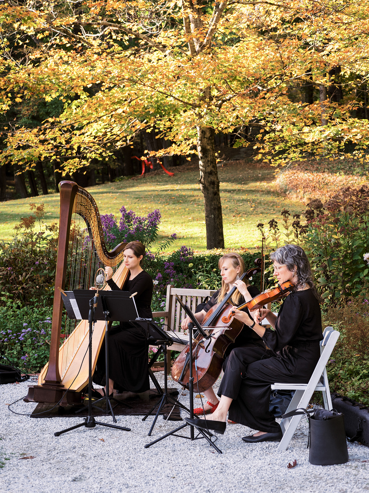Harp and violin / cellist playing during ceremony. 