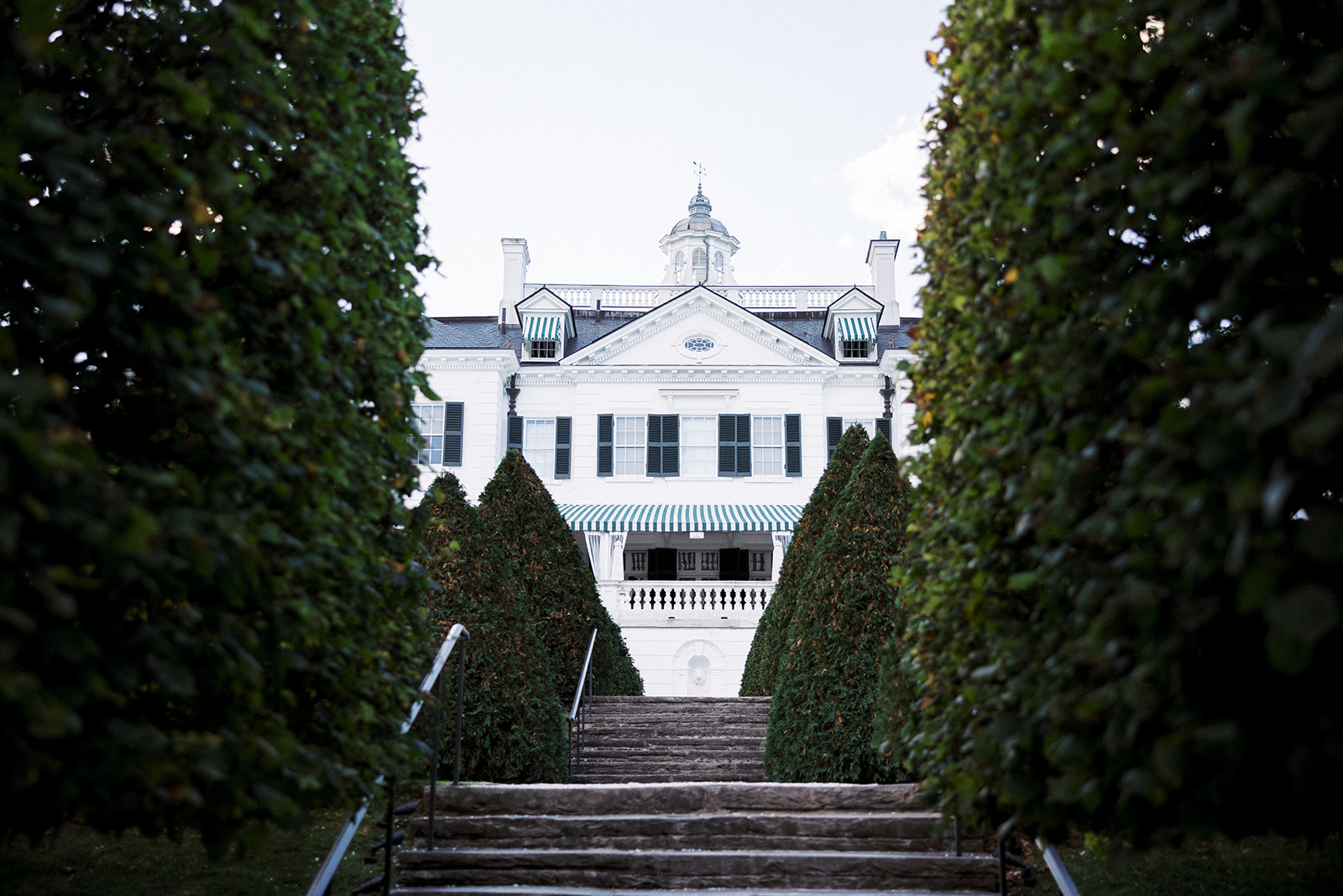 Photograph of the Mount framed between hedges.