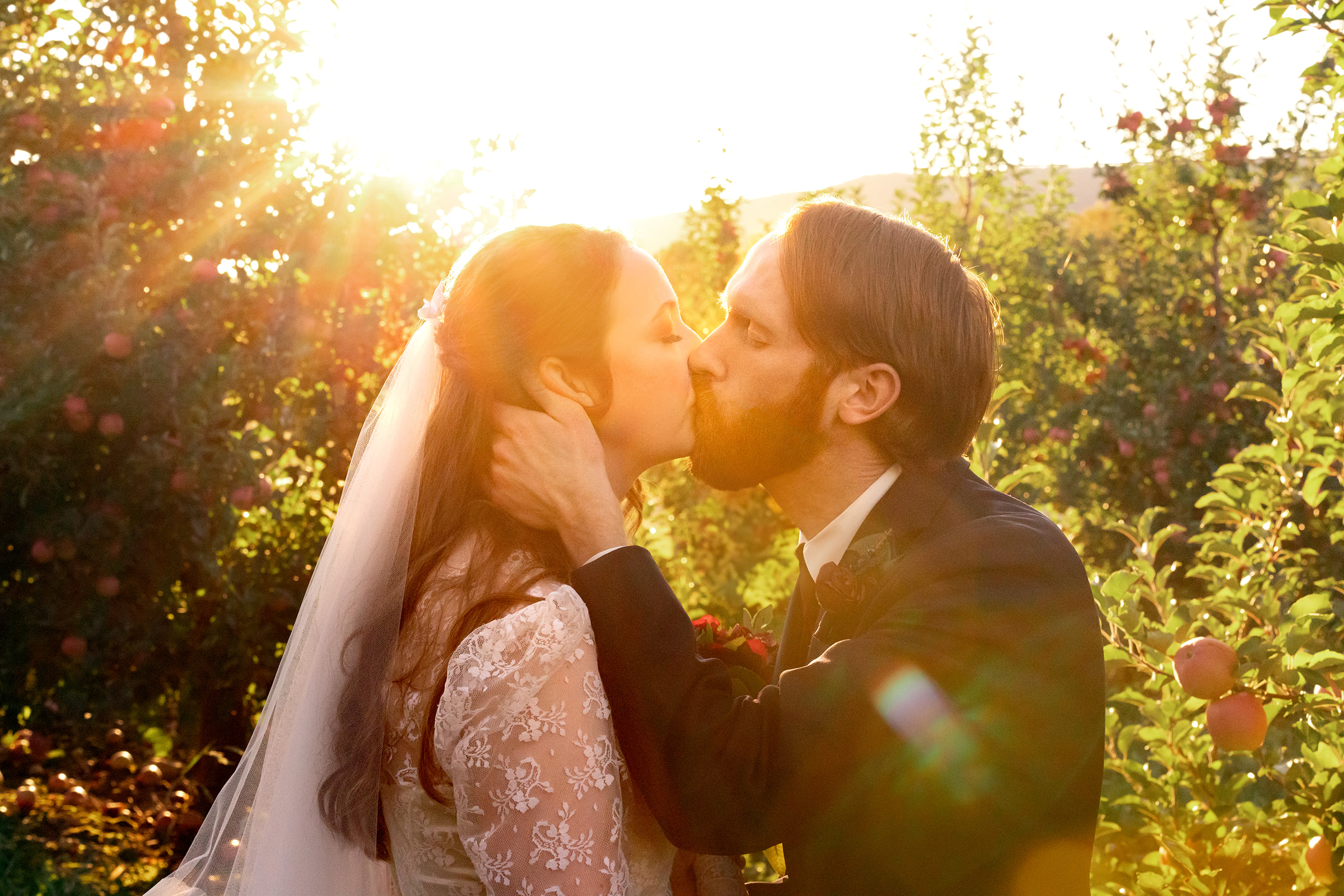 The Perfect Apple Orchard Wedding at Showalter's Orchard \u0026 Greenhouse —  Love and Sol Photography, image size:2400x1601