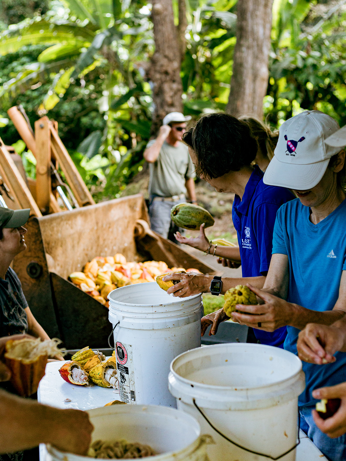 21_Degrees_Estate_Harvest-27.jpg