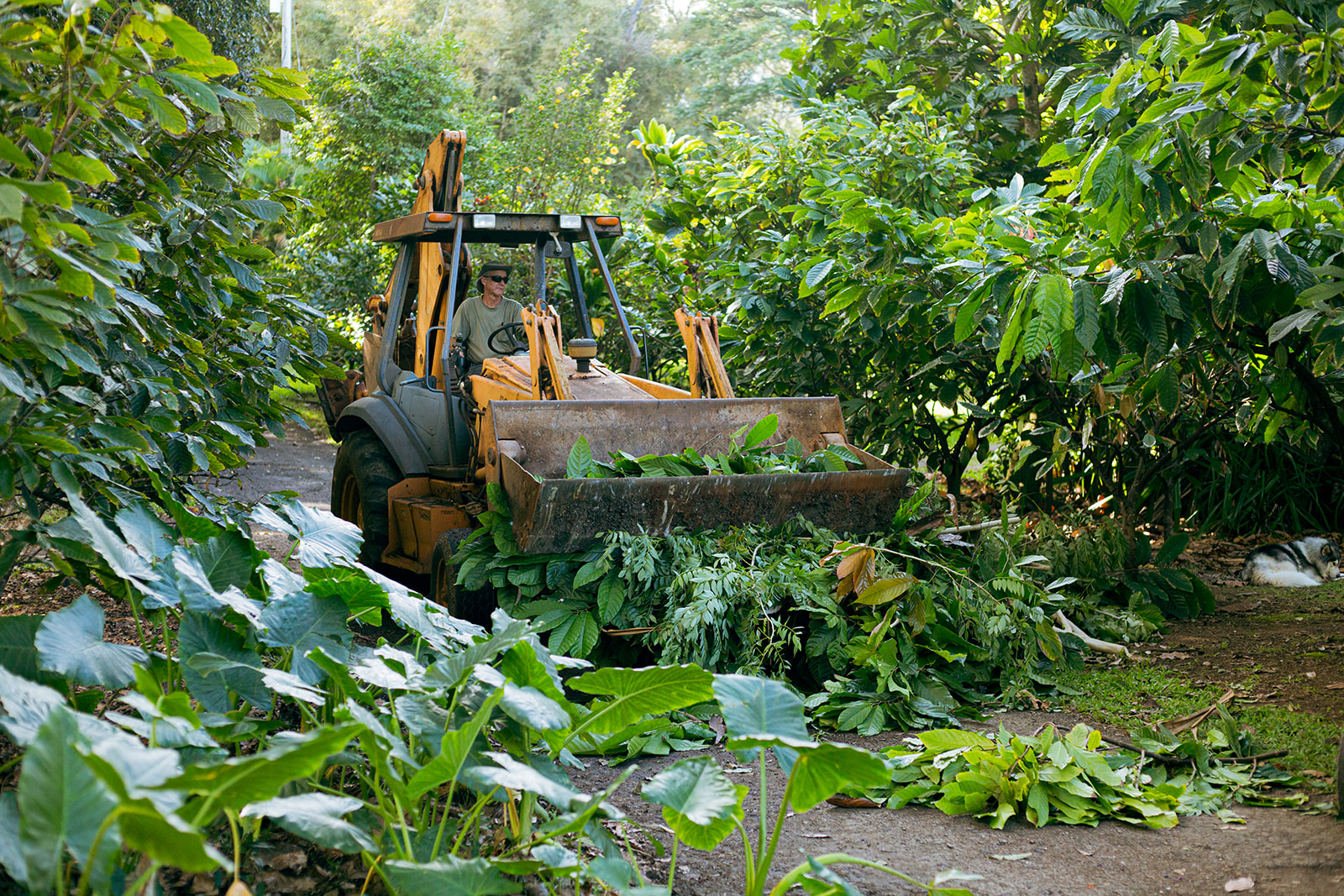 21_Degrees_Estate_Harvest-36.jpg