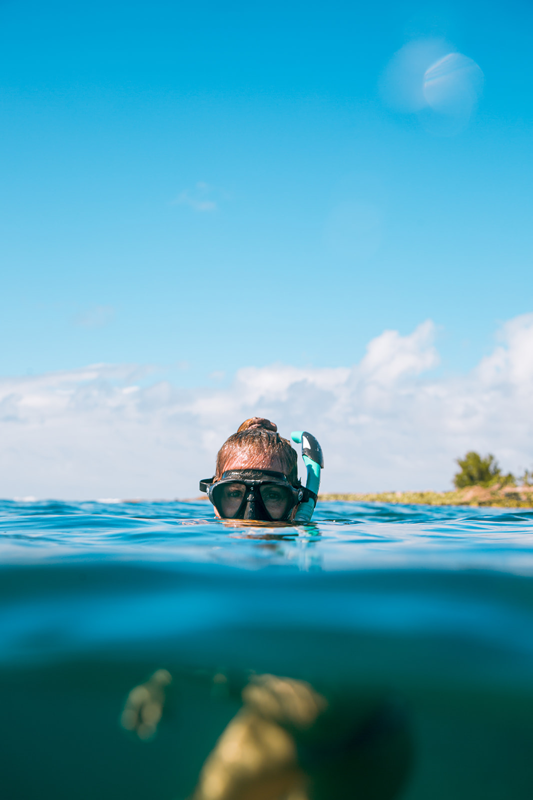 Professional underwater photography experience in O'ahu, Hawaii featuring clear blue water.