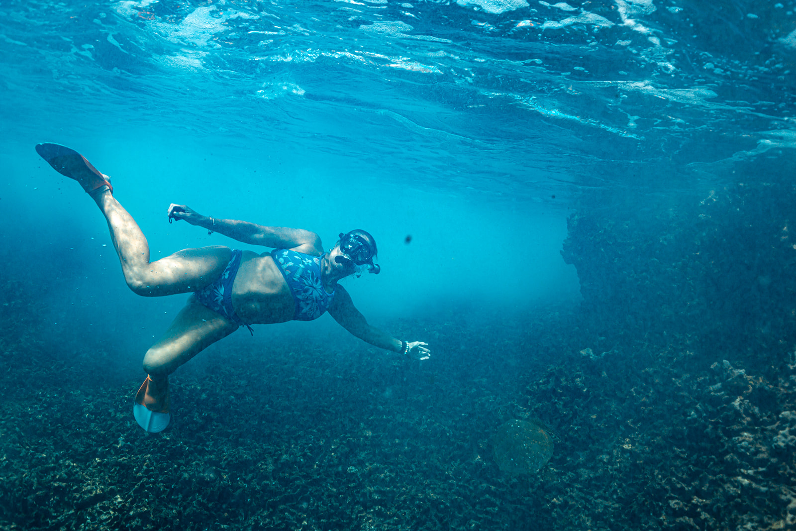 Professional underwater photography experience in O'ahu, Hawaii featuring clear blue water and hawaiian green sea turtle.
