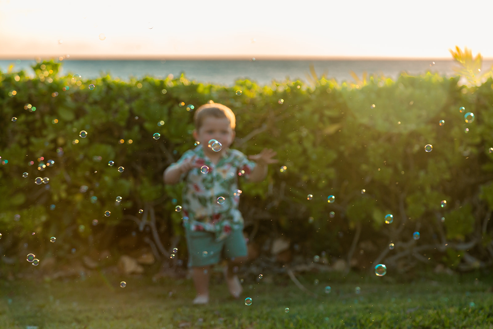 The_Conway_Ohana-_Ko_Olina-53.jpg
