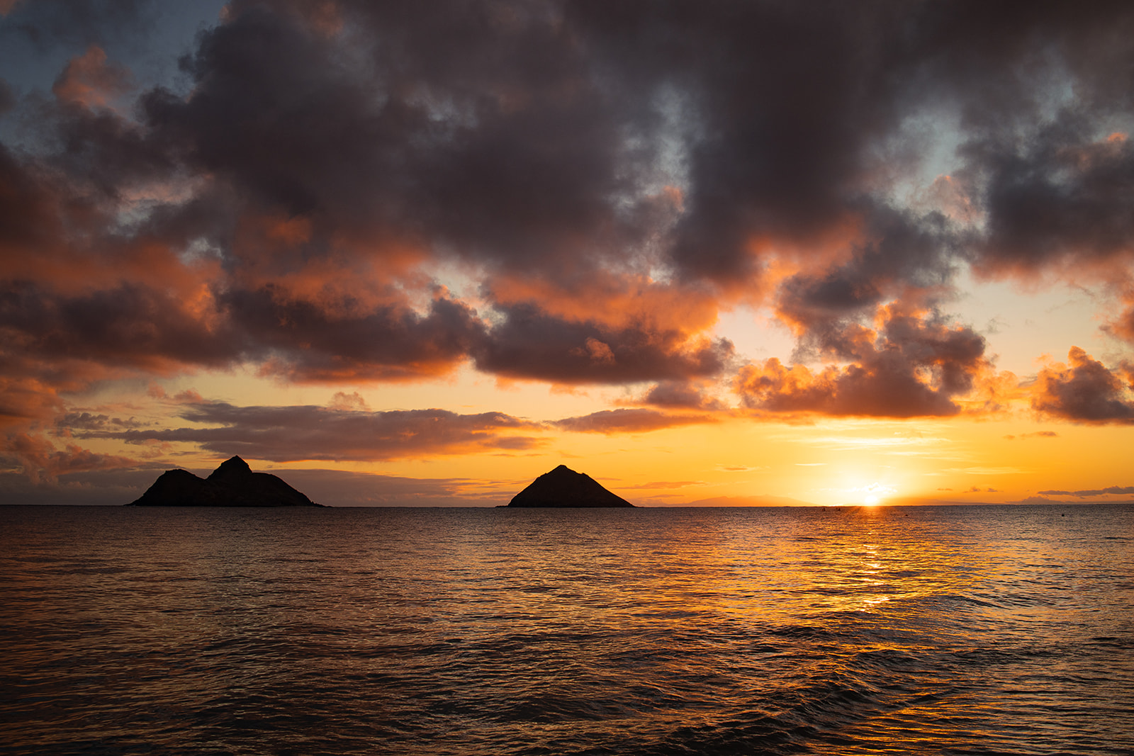 Sunrise photography session on Lanikai Beach on Oahu featuring soft pink skies and ocean horizon.