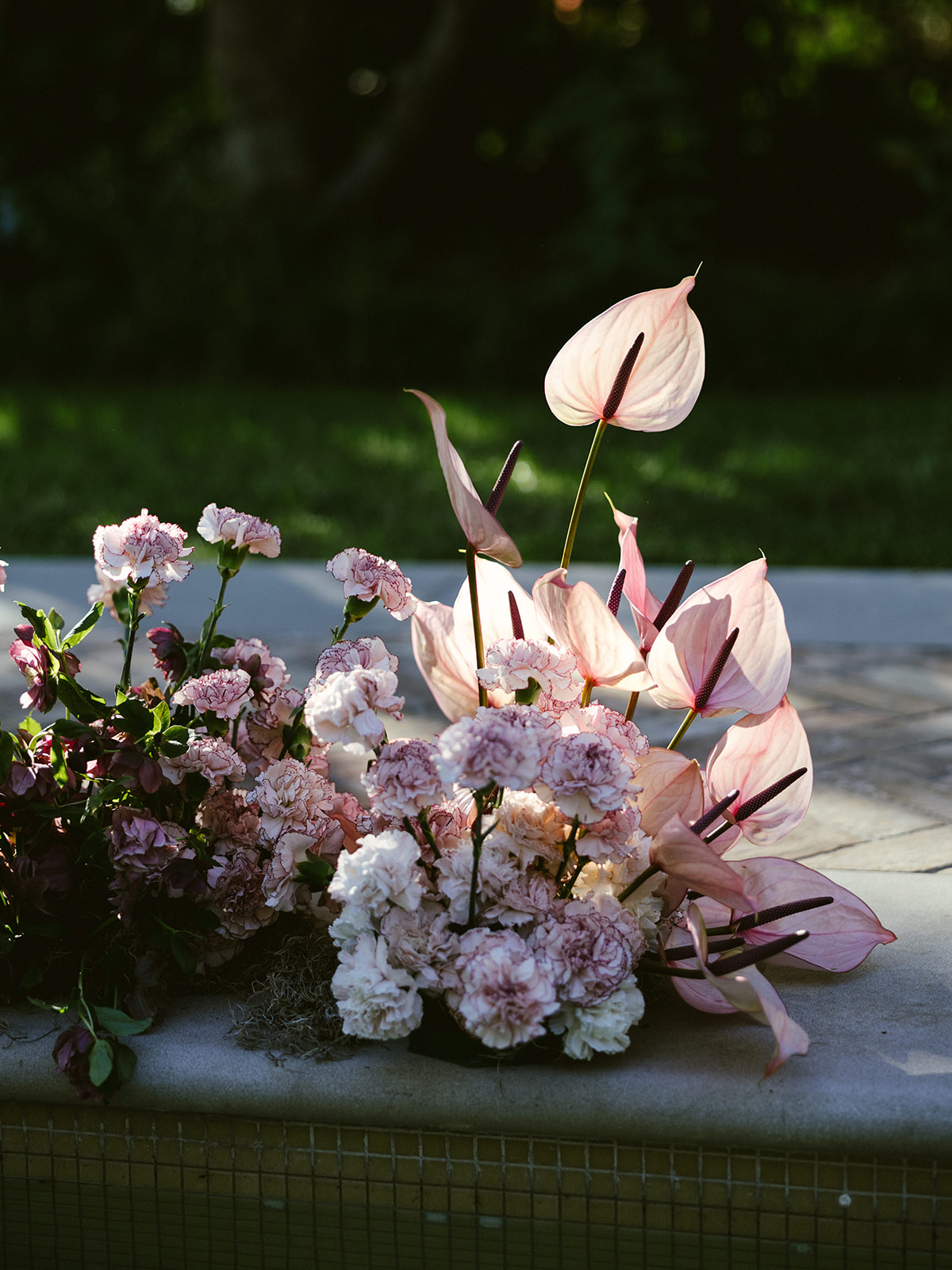 Shoot 4-38.jpg