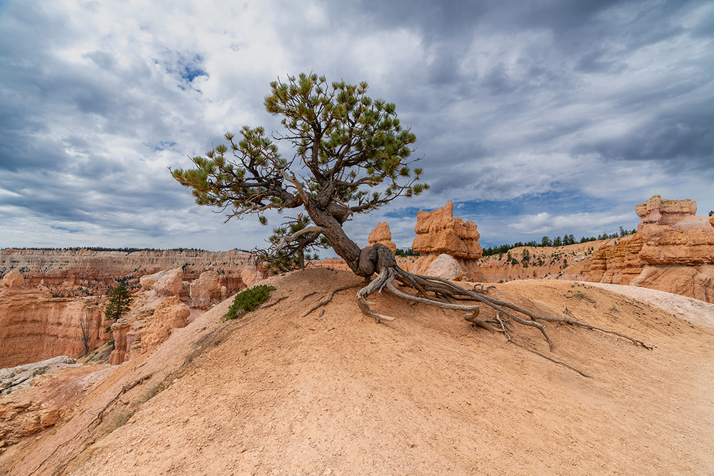 Landscape photograph 046 from the Southwest Sony collection