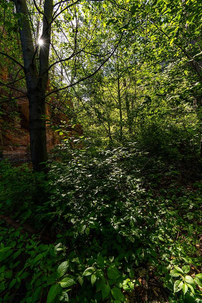 Landscape photograph 079 from the Southwest Sony collection
