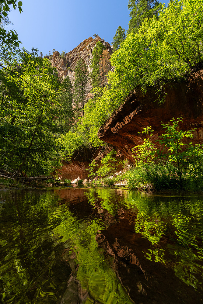 Stillness reflected